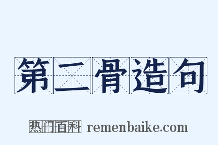 第二骨造句是什么意思的图片